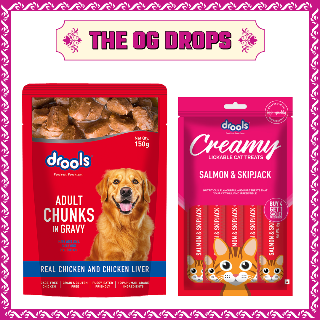 Drools Real Chicken & Chicken Liver Chunks in Gravy Adult Dog Wet Food image 3