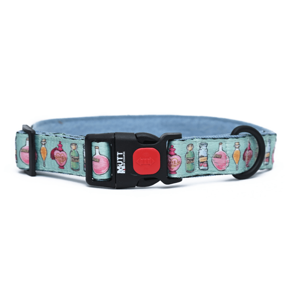 Harry Potter Potions In Motions Collar for Dogs image 1