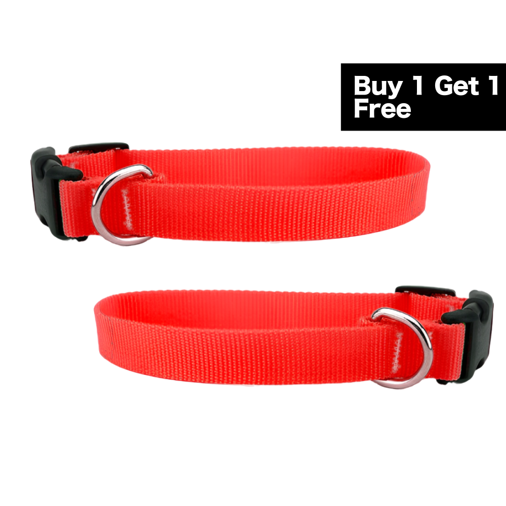 Skatrs Adjustable Collar with Bell for Cats & Kittens (Buy 1 Get 1) image 1