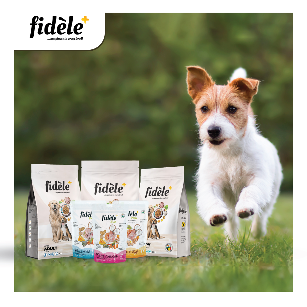 Fidele Plus Fresh Fish with Vegetables Dog Wet Food image 8