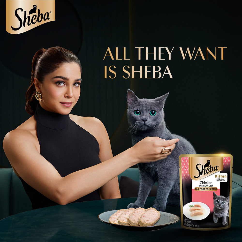 Sheba Chicken Loaf and Whiskas Tuna in Jelly Kitten Cat Wet Food Combo image 6