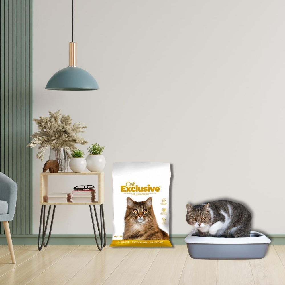 Intersand Cat's Exclusive Sodium Bentonite Clumping Unscented Cat Litter image 6