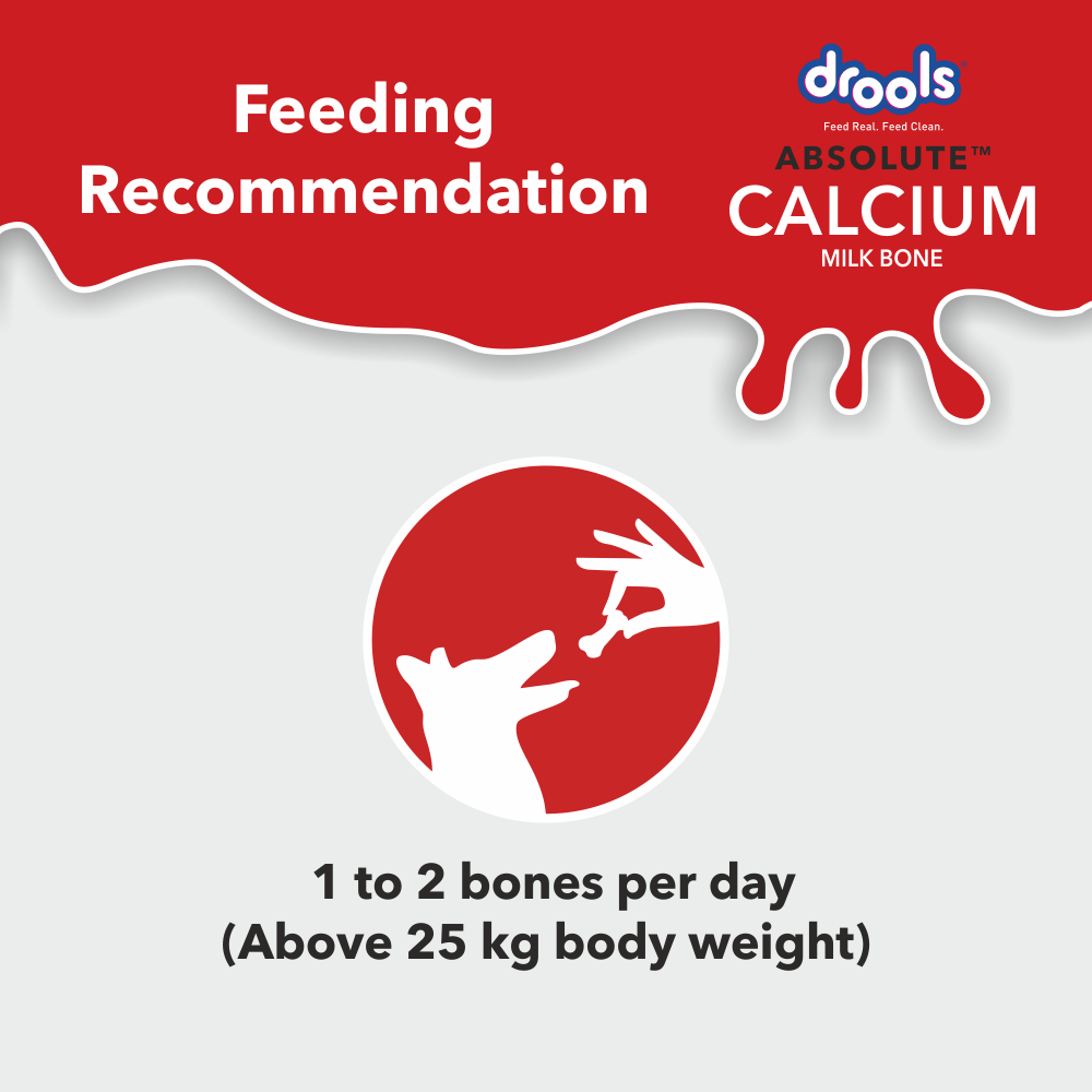 Drools Absolute Calcium Bone for Large Dogs image 6