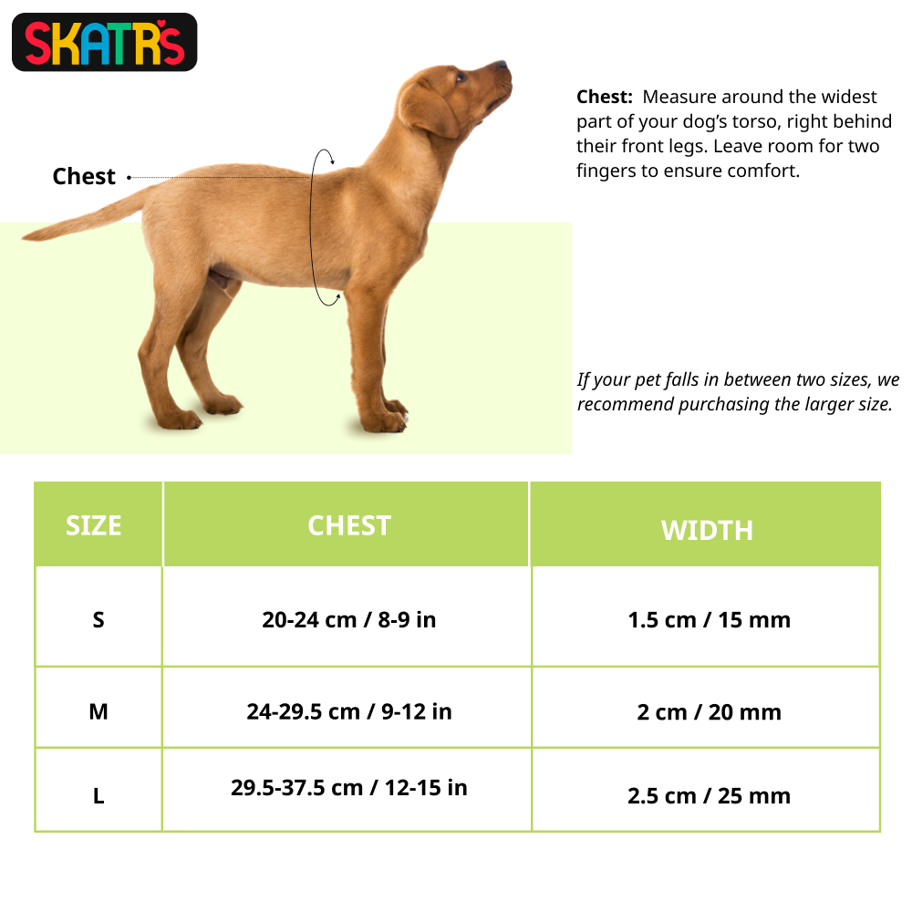 Skatrs Padded Nylon Y Harness for Dogs & Cats (Black) image 2