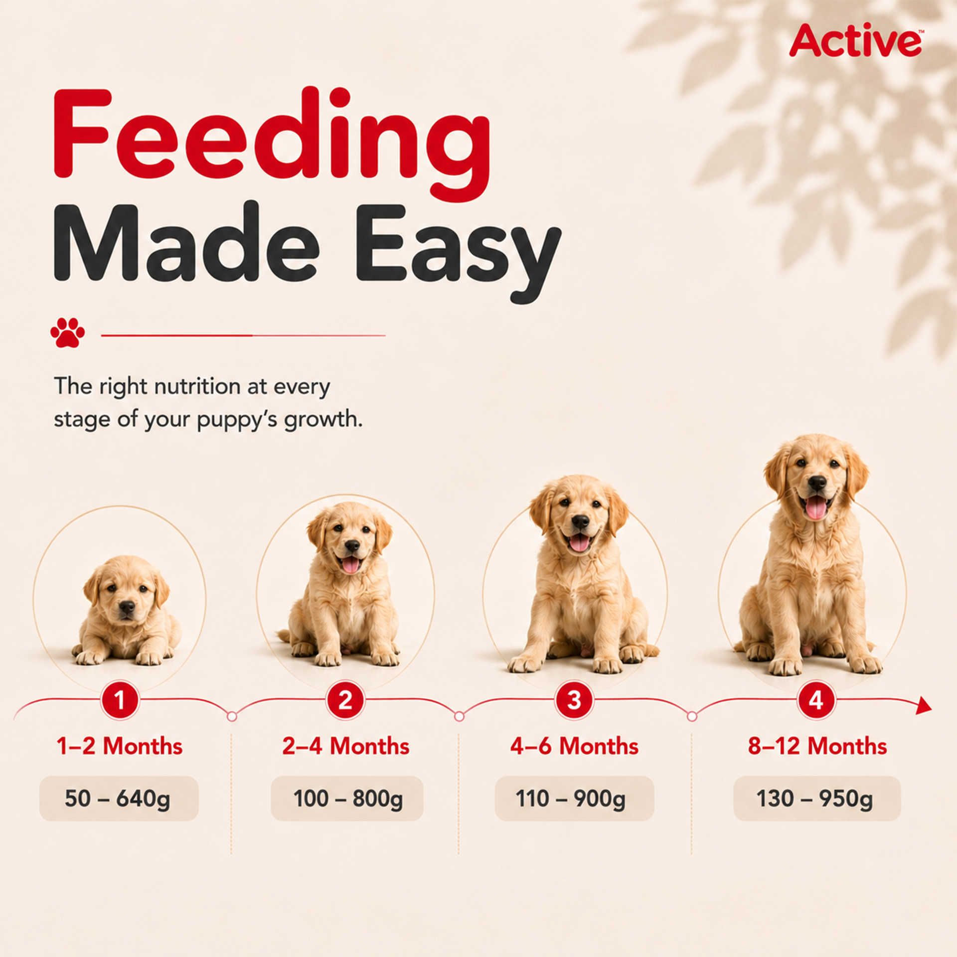 Active Chicken and Vegetables Puppy Dog Dry Food (Buy 1 Get 1) image 7