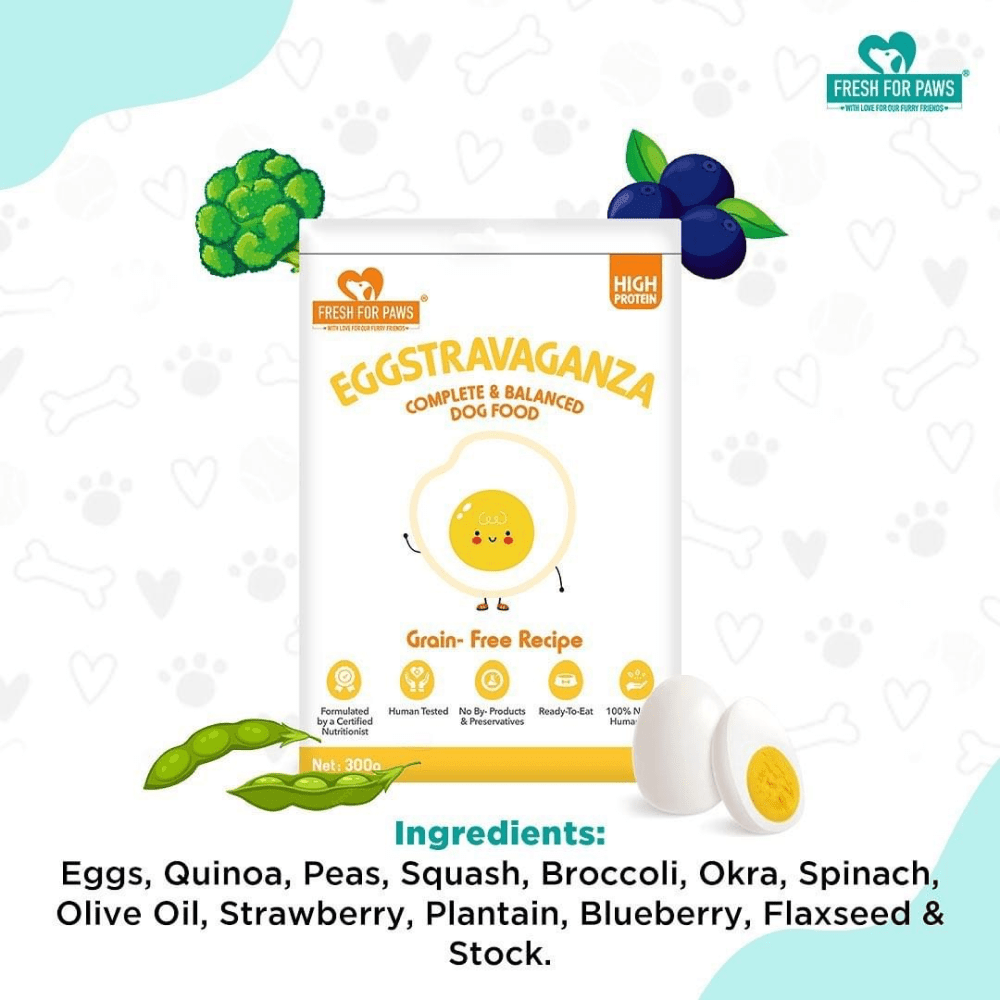 Fresh For Paws Eggstravaganza Dog Wet Food (300g) image 5