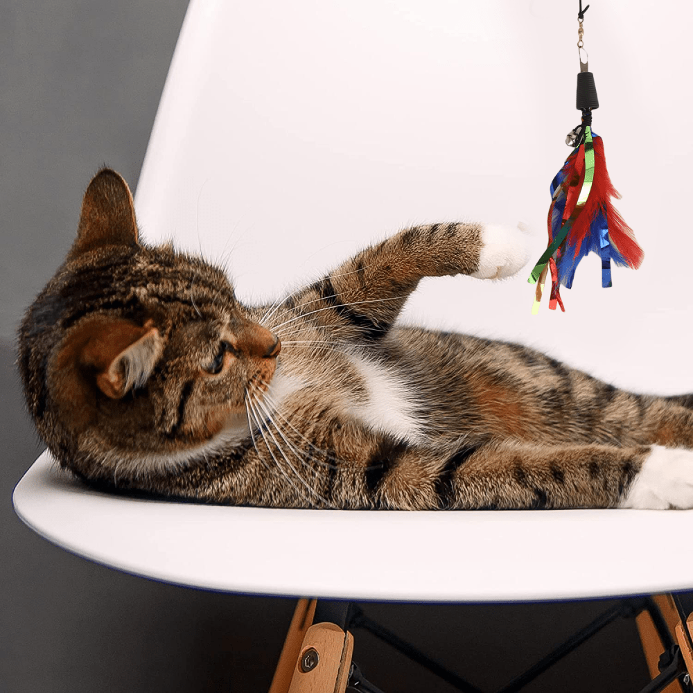 Basil Cat Teaser with Feathers & Bell for Cats image 5