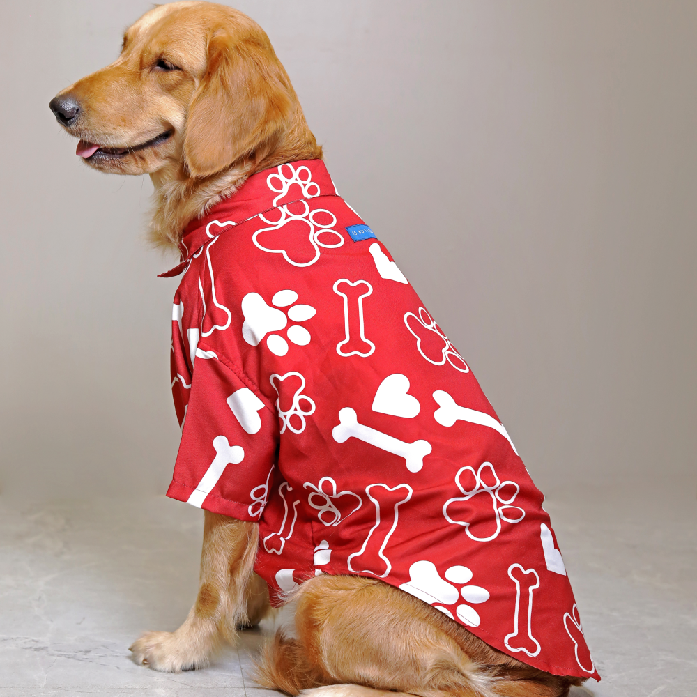15buttons Paws-tive Love Shirt for Dogs image 4