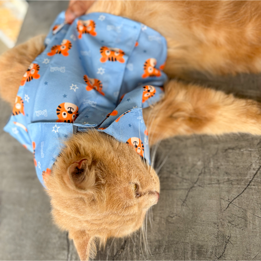 15 Furries Tiger Shirt for Cats (Orange and Blue) image 7