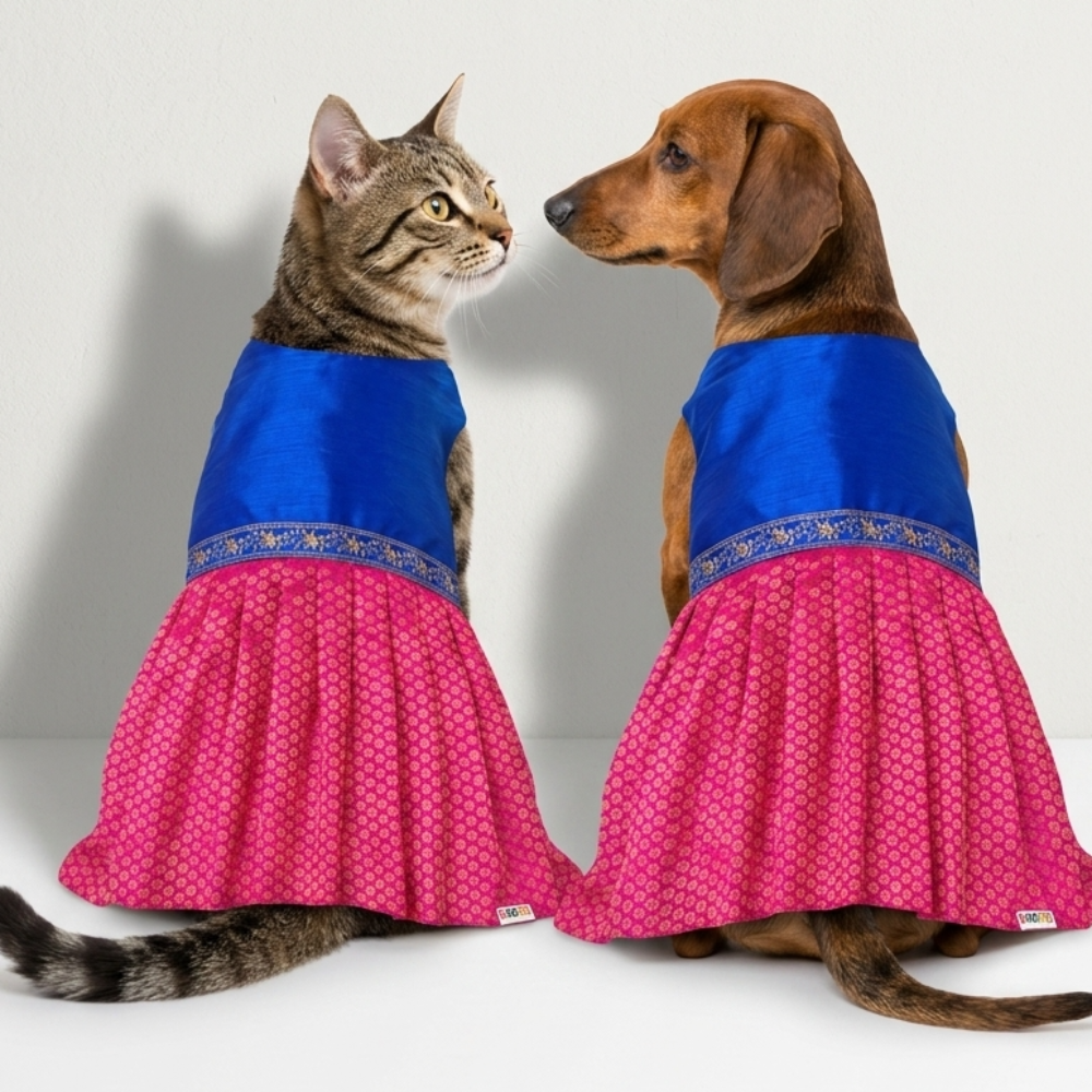 Skatrs Ethnic Lehenga Dress for Dogs and Cats (Royal Pink & Blue) image 5