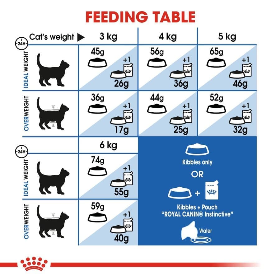 Royal Canin Indoor Adult Cat Dry Food image 5
