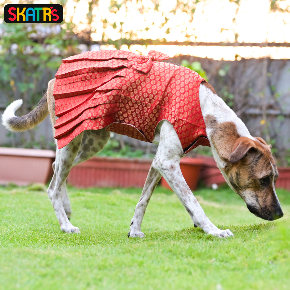Skatrs Brocade Gold Printed Dress for Dogs and Cats (Red) image 6