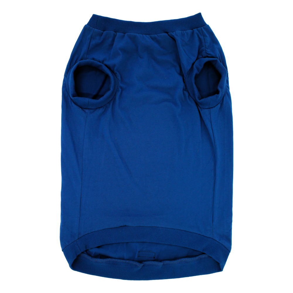 Pawpourri Tiny Influencer T Shirt for Dogs (Blue) image 2