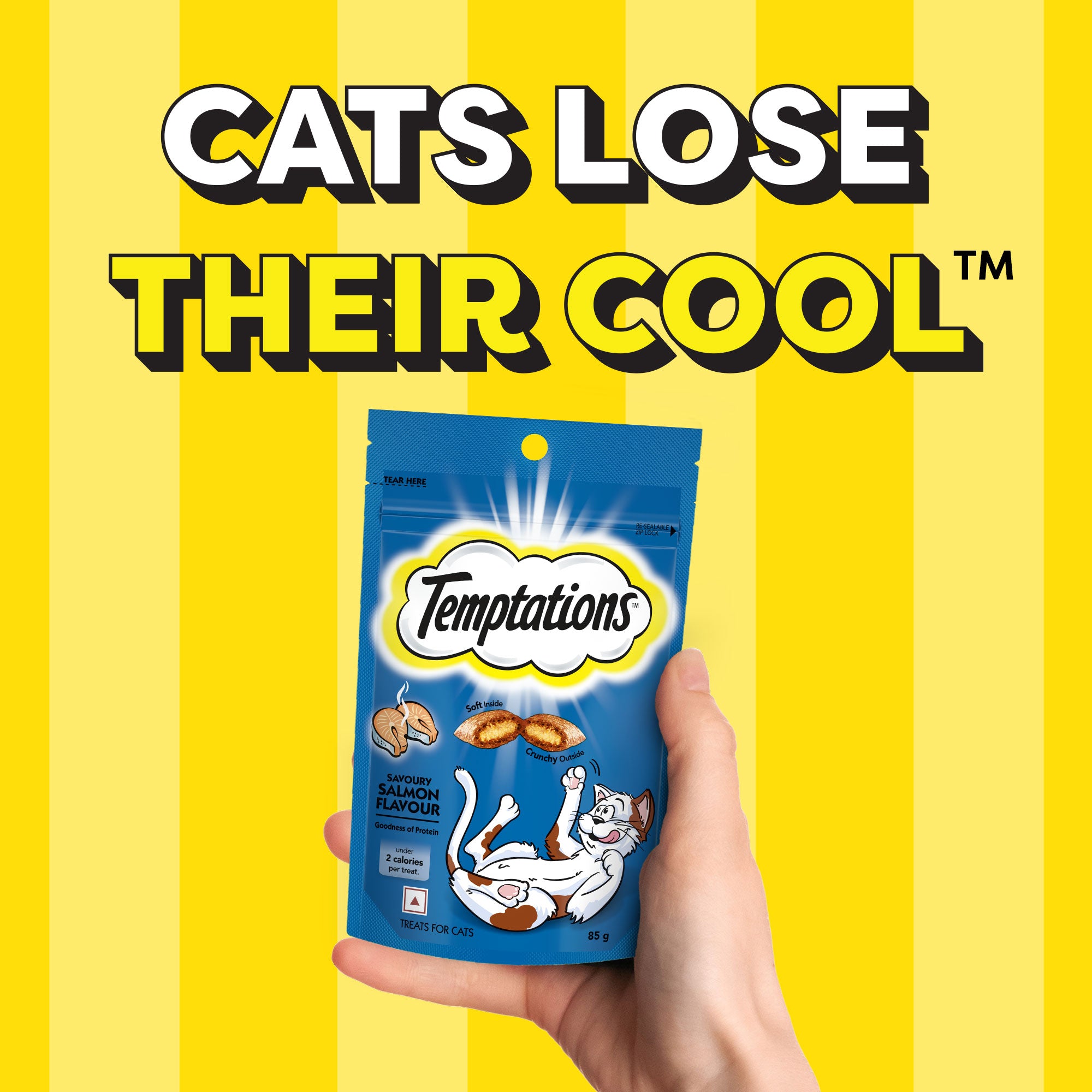 Temptations Savoury Salmon Flavour Cat Treats image 8