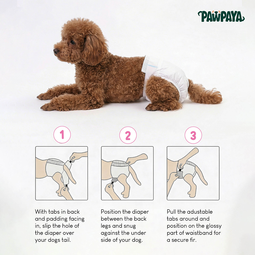 Pawpaya 100% Leak Proof Disposable Diapers for Female Dogs image 5