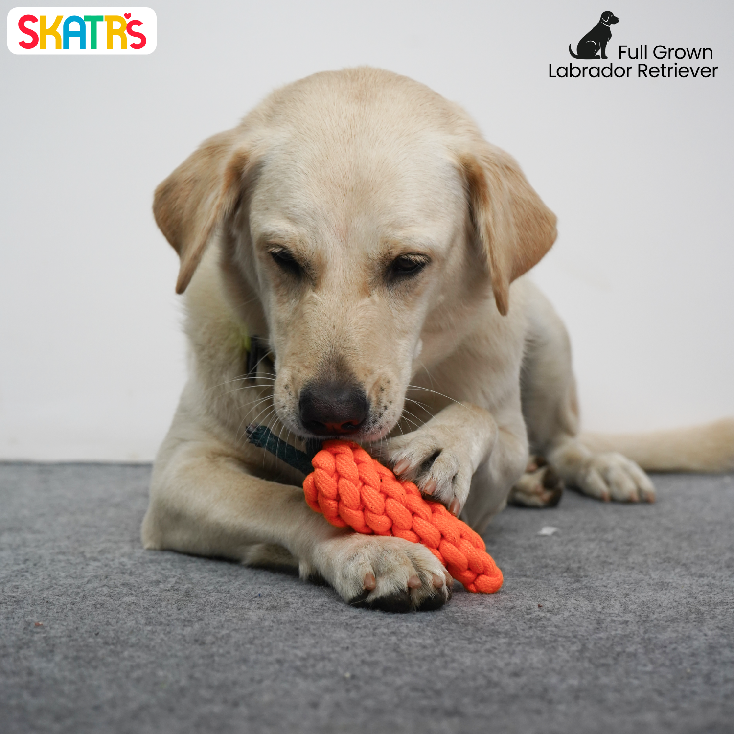 Skatrs Carrot Shaped Rope Chew Toy for Dogs and Cats (Orange) image 5