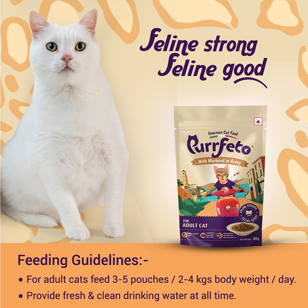 Purrfeto Mackerel in Gravy Adult Cat Wet Food image 5