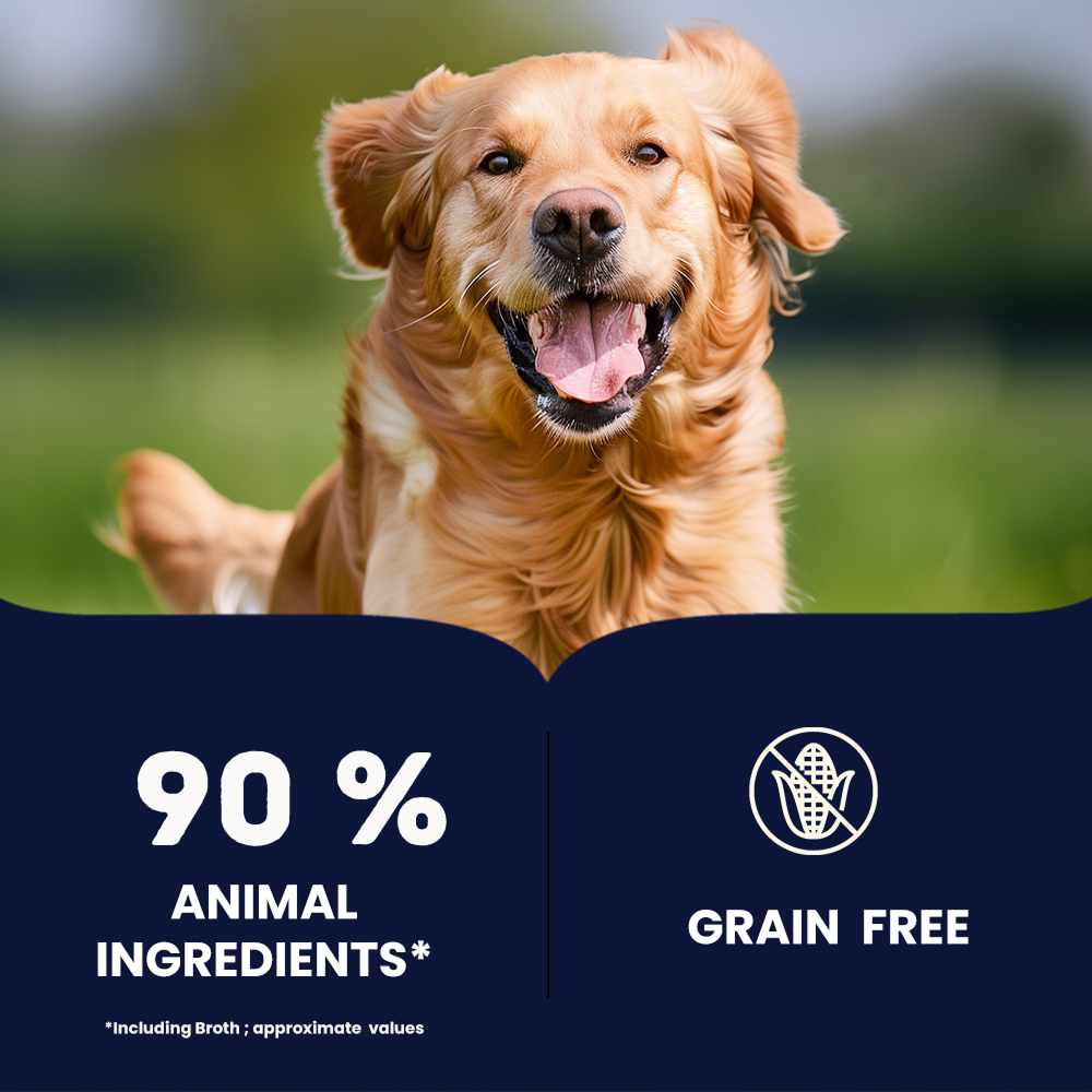 Bruno's Wild Essentials Mackerel with Salmon & Vegetables Dog Wet Food image 2