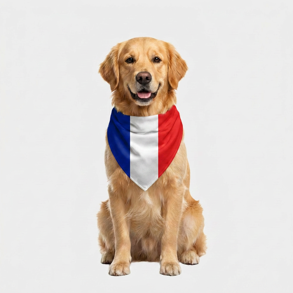 Skatrs France Flag Supporter Bandana for Pets & Pet Parents image 7
