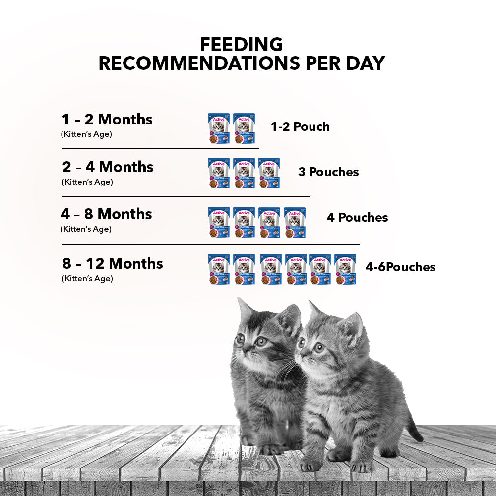 Active Real Chicken & Chicken Liver in Gravy Kitten Cat Wet Food ( Buy 1 Get 1) image 6