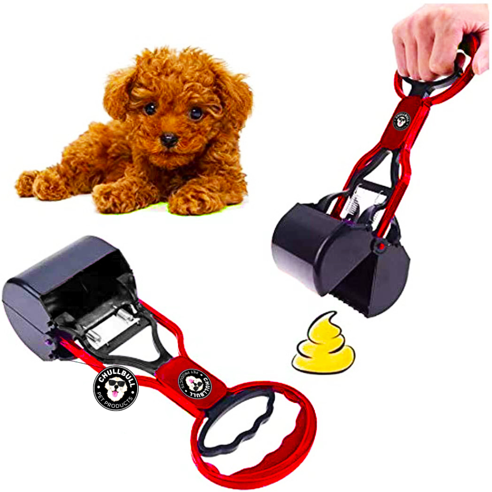Chullbull Foldable Potty Scooper for Dogs (Red) image 4