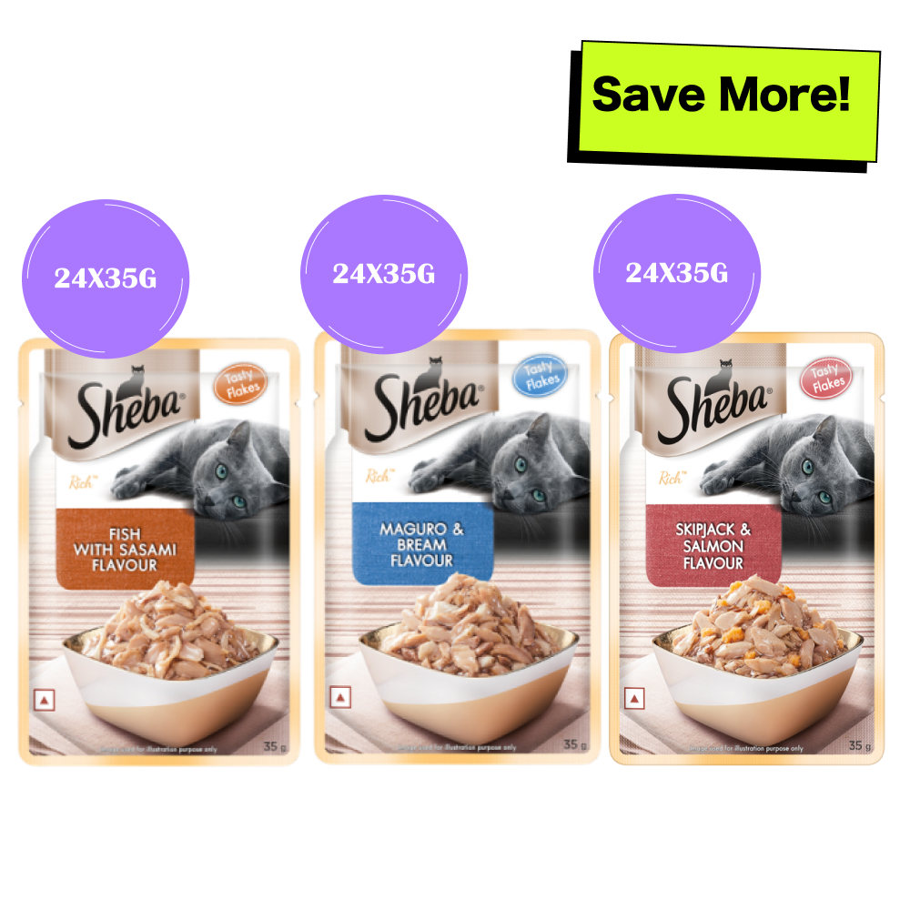 Sheba Skipjack & Salmon Fish, Maguro & Bream and Fish with Sasami Flake Premium Cat Wet Food Combo