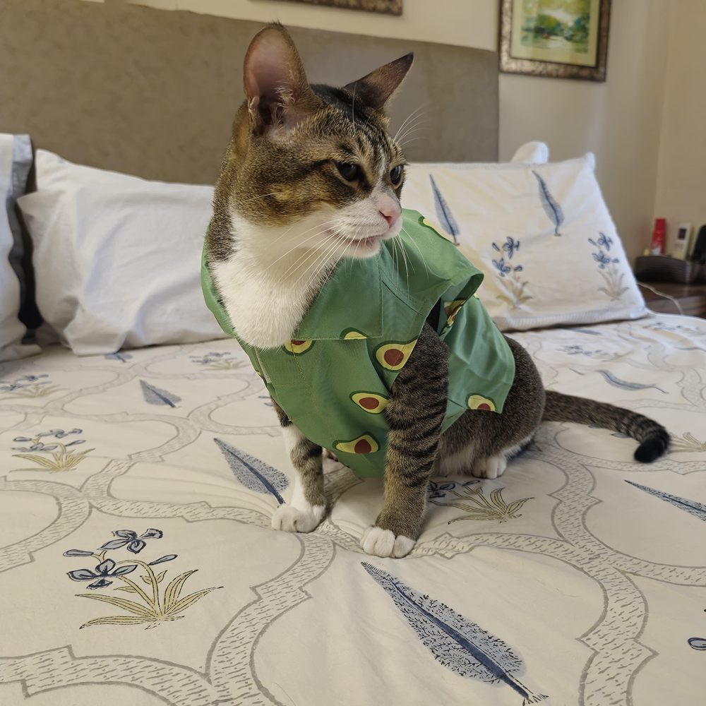 15 Furries Avocado Shirt for Cats (Green) image 9