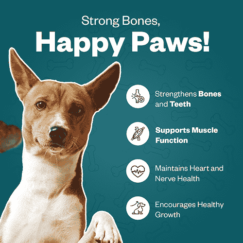 TailsAlive Calcium Chicken Flavor Soft Chews Supplements for Dogs image 3