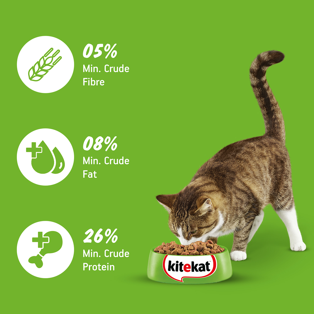 Kitekat Ocean Fish Adult Cat Dry Food image 6