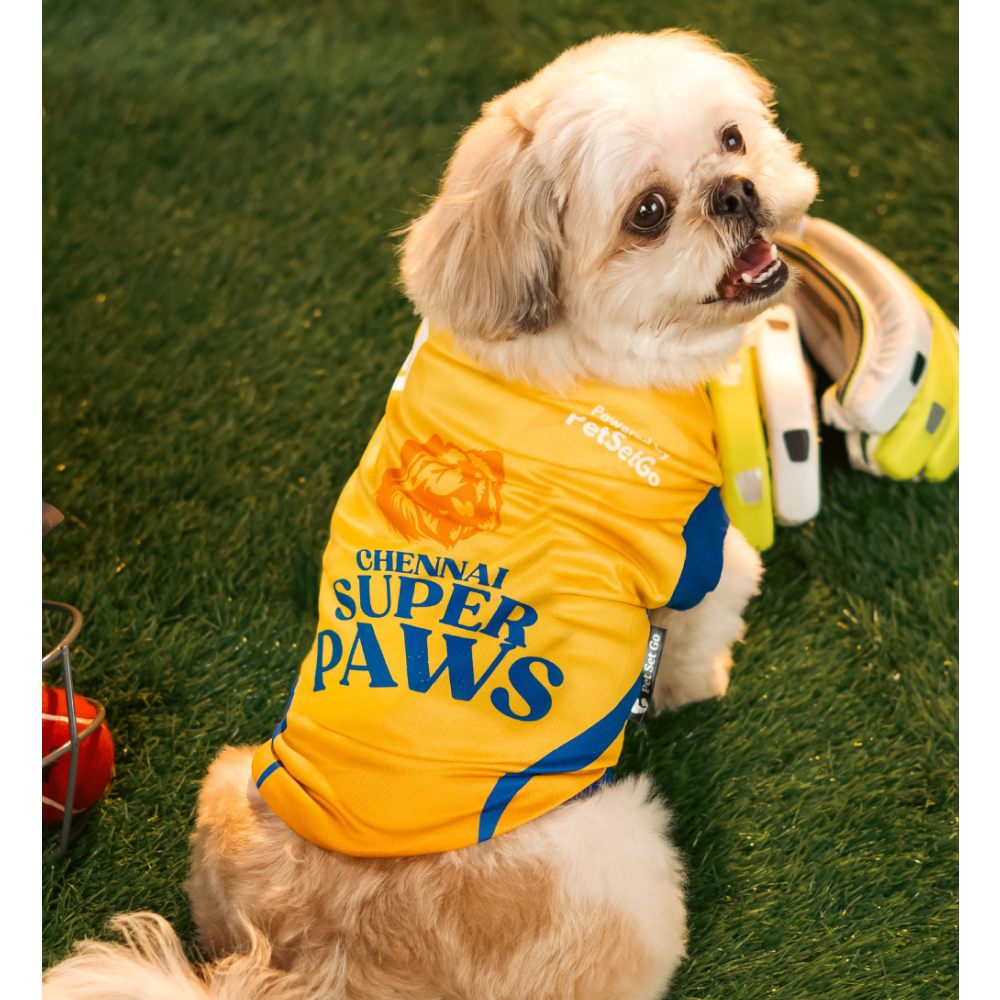 Pet Set Go Chennai Super Paws IPL Jersey for Dogs (Yellow) | Indian Pet League