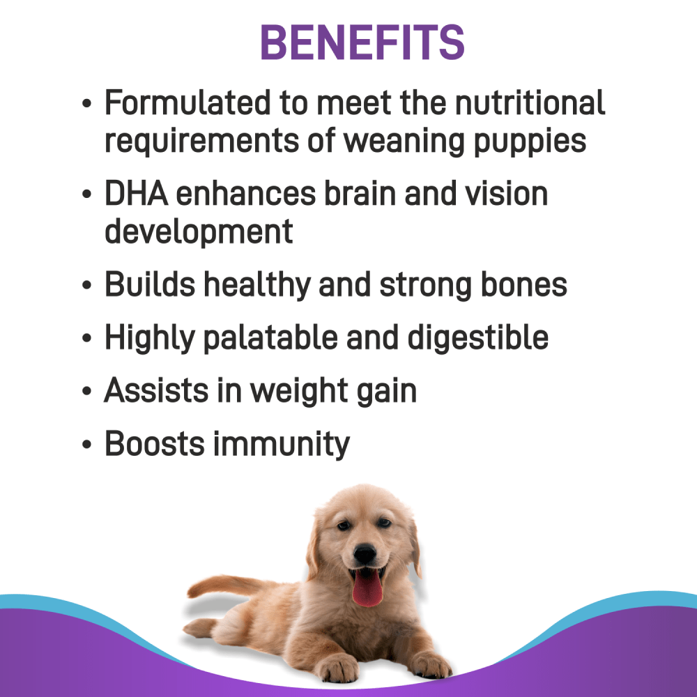 Canine Creek Pup Booster Puppy Weaning Diet for All Breeds image 3