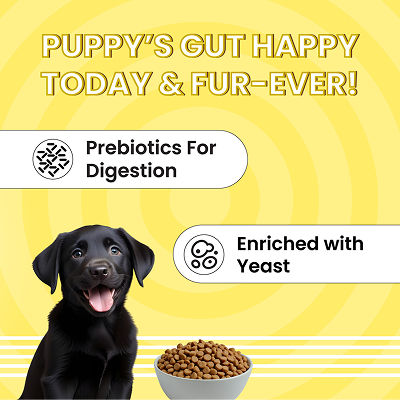 Bark Out Loud Essentials Real Chicken All Breed Puppy Dog Dry Food image 5