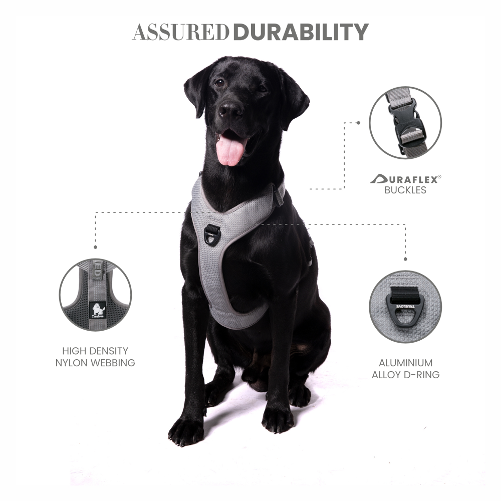 Truelove Harness with Reflective Fabric for Dogs (Gray) image 3