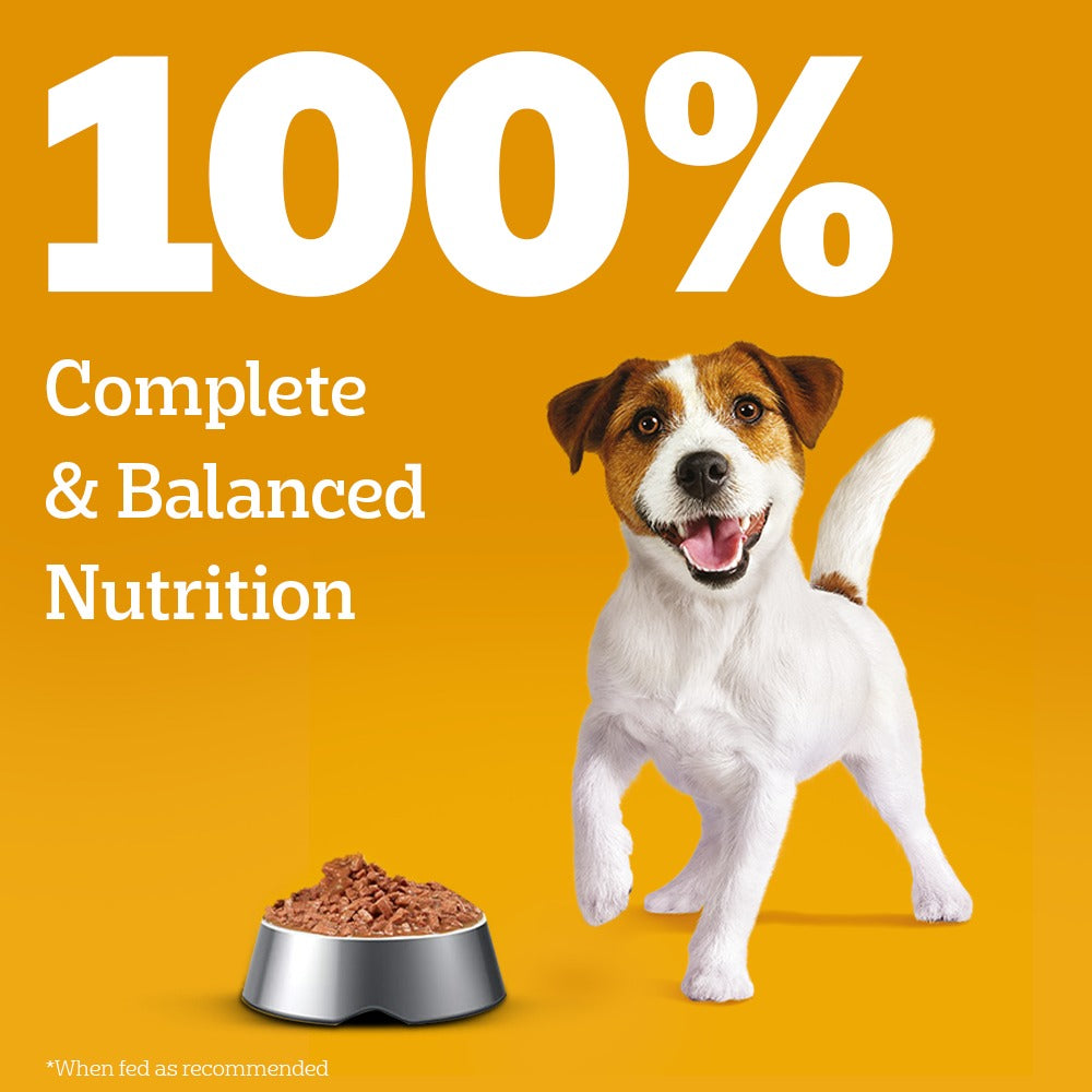 Pedigree Chicken and Liver Chunks in Gravy Pouch Puppy Dog Wet Food (130g) image 4