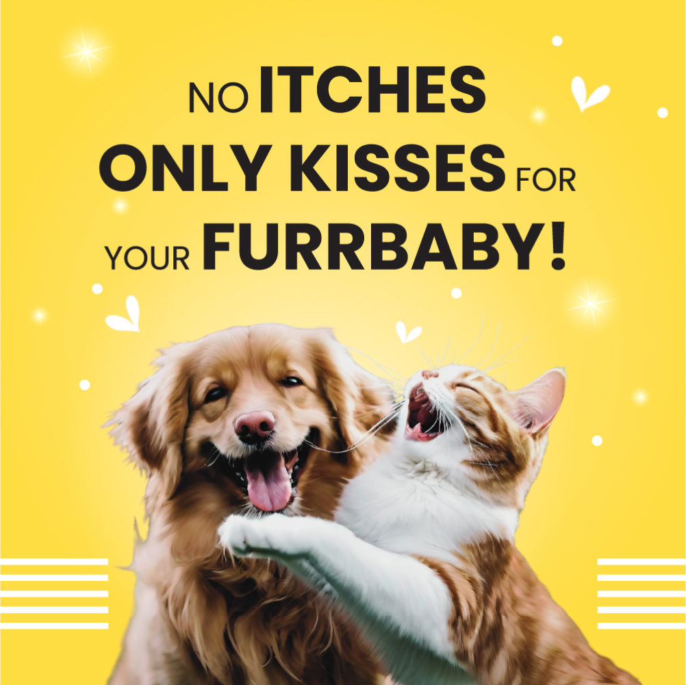 Bark Out Loud Skin & Coat Sardine Oil for Dogs and Cats image 4