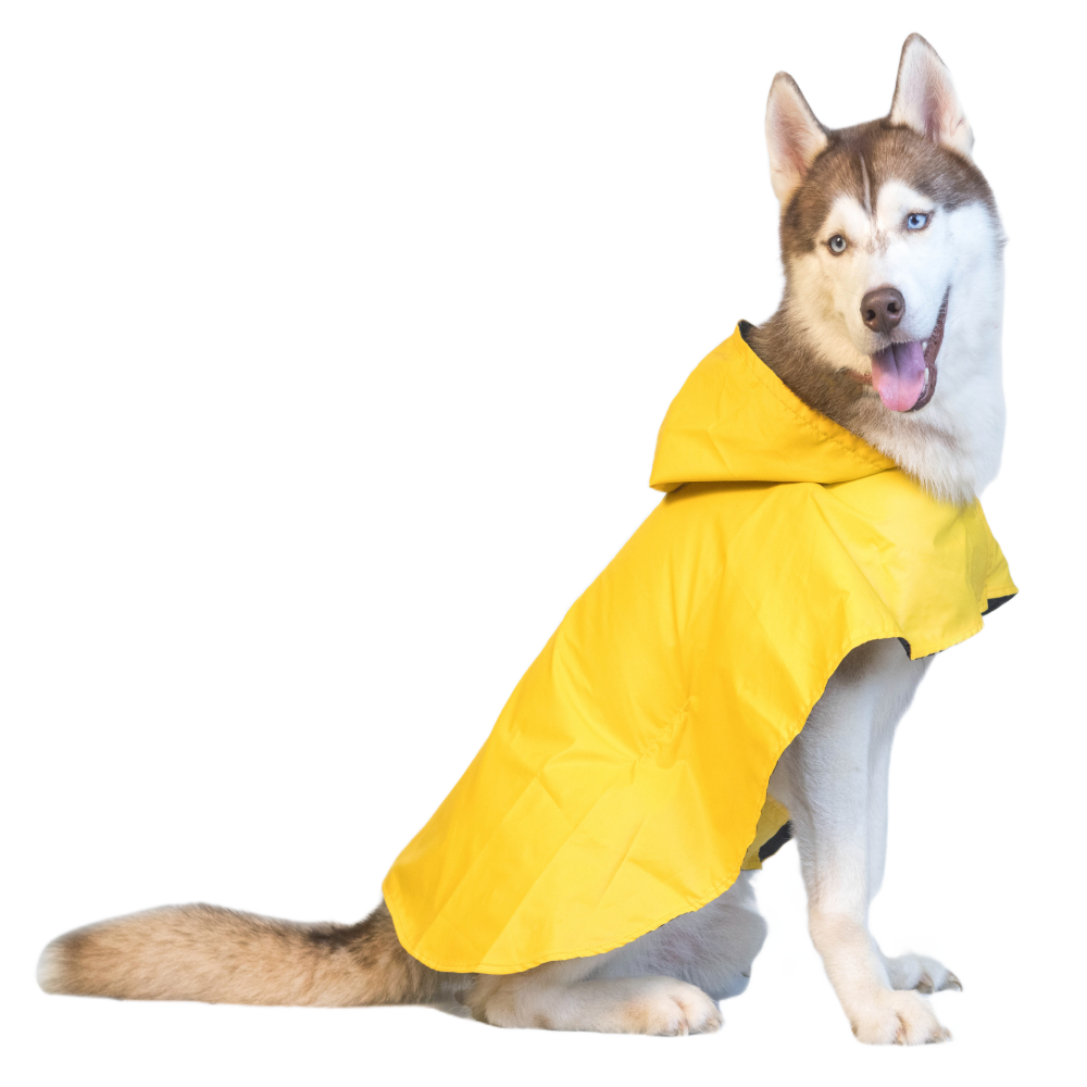 Pet Set Go Cape Style Raincoat for Dogs (Yellow)