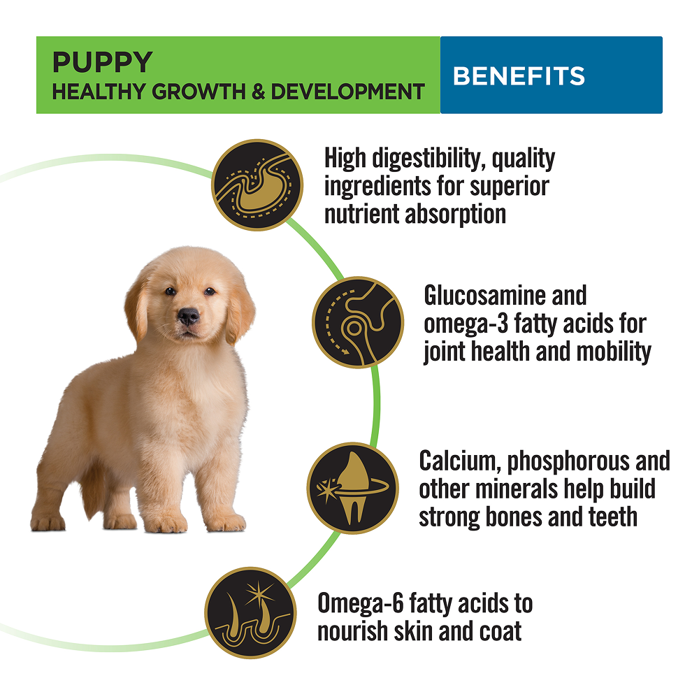 Pro Plan Chicken Large Breed Puppy Dog Dry Food (New Improved Formula) image 10