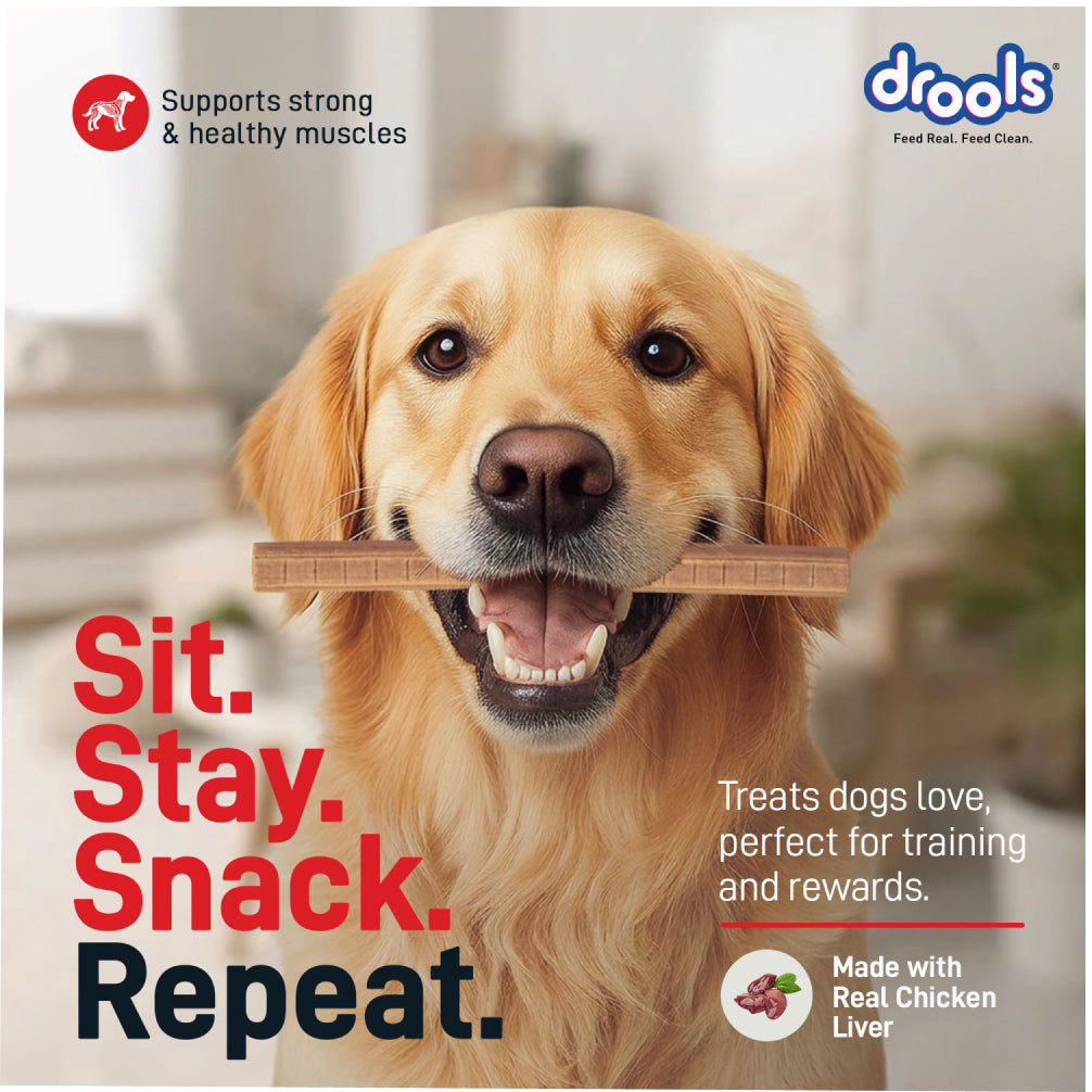 Drools Chicken Liver Sticks Dog treats image 7