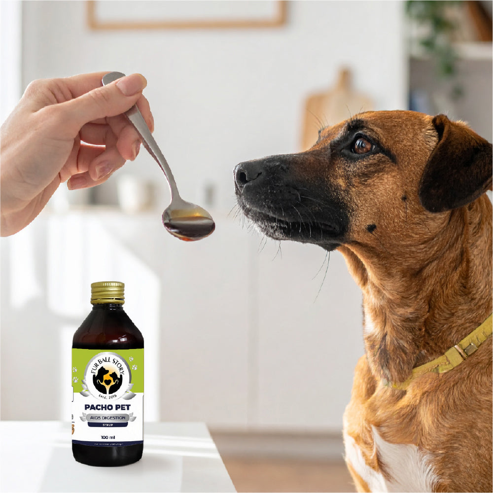 FurBall Story Pacho Relieves Stomach Issues Syrup for Dogs & Cats image 8