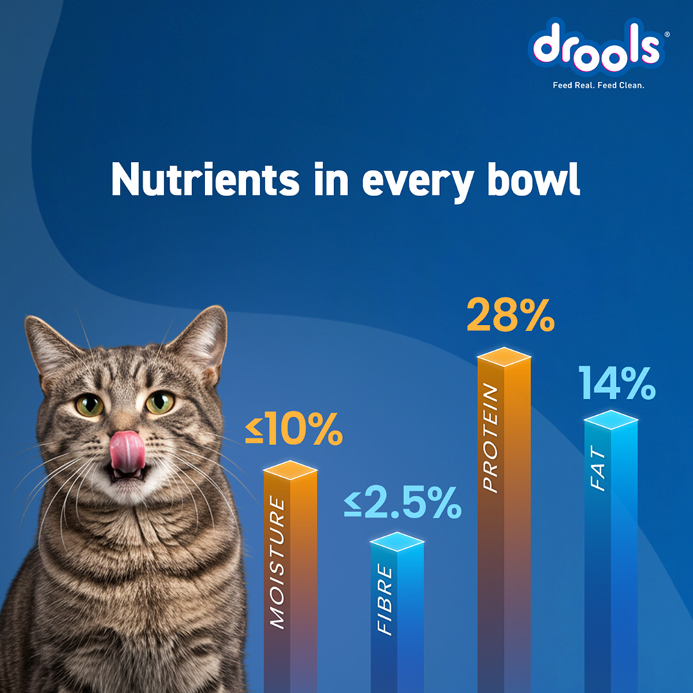 Drools Real Chicken Adult Cat Dry Food image 4