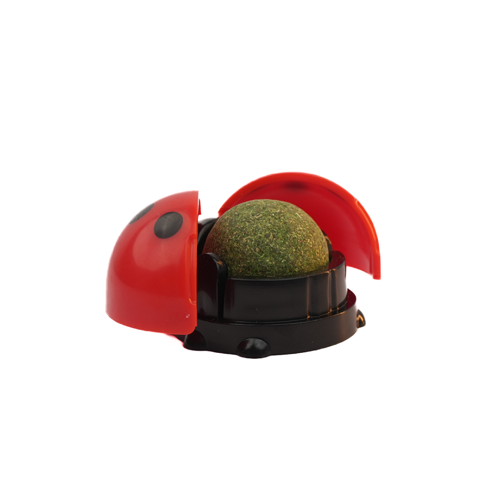 Skatrs Ladybug Catnip Ball Toy for Cats image 4