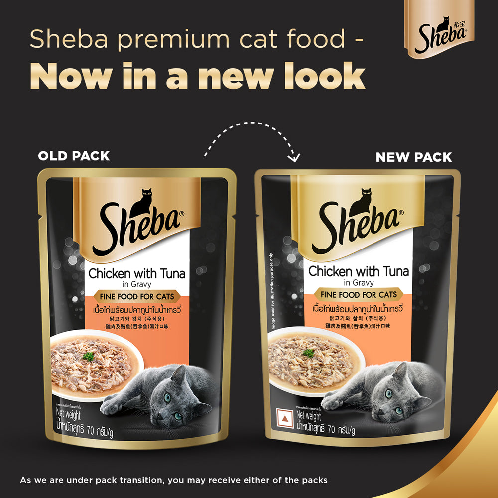 Sheba Chicken Loaf, Chicken With Tuna and Tuna Pumpkin & Carrot In Gravy Rich Premium Adult Fine Cat Wet Food Combo image 6