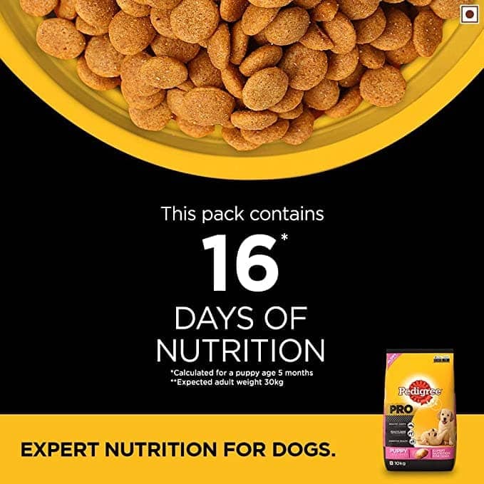 Pedigree PRO Expert Nutrition for Large Breed Puppy Dry and Chicken Chunks in Gravy Puppy Wet Food Combo image 9