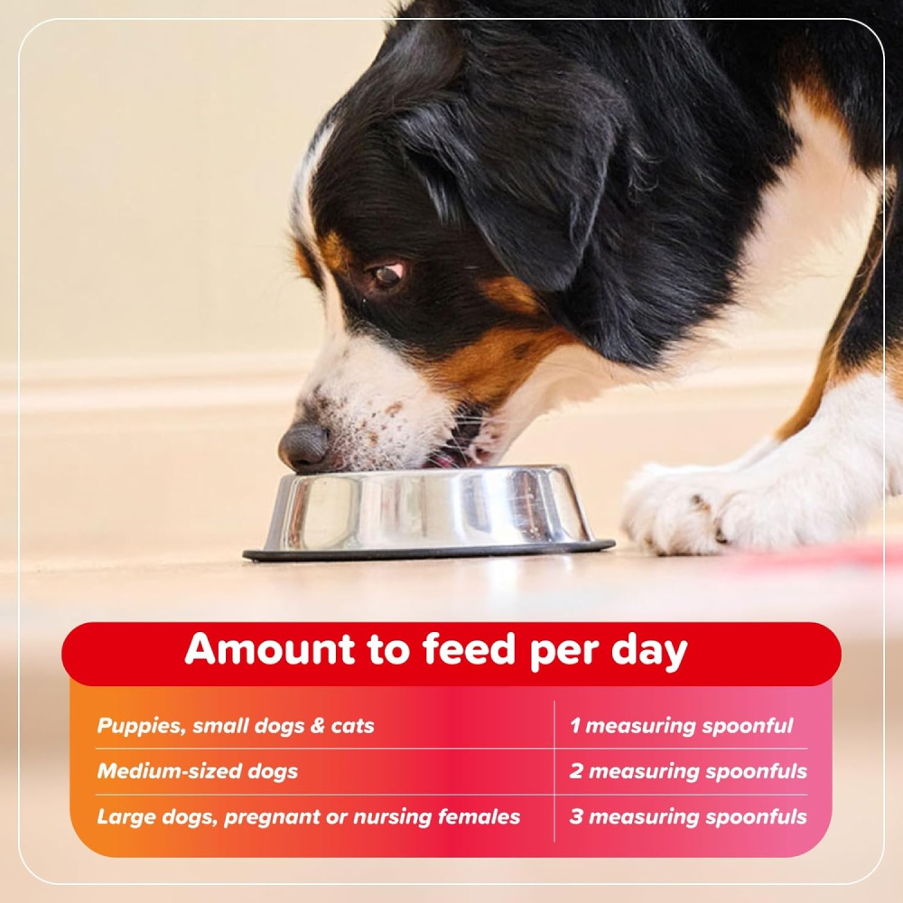 Beaphar Bone Builder Calcium Supplement for Dogs and Cats image 4
