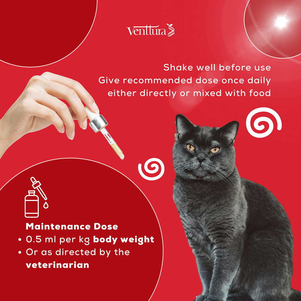 Venttura Ferro Blood Booster & Immunity Supplement for Cats image 6