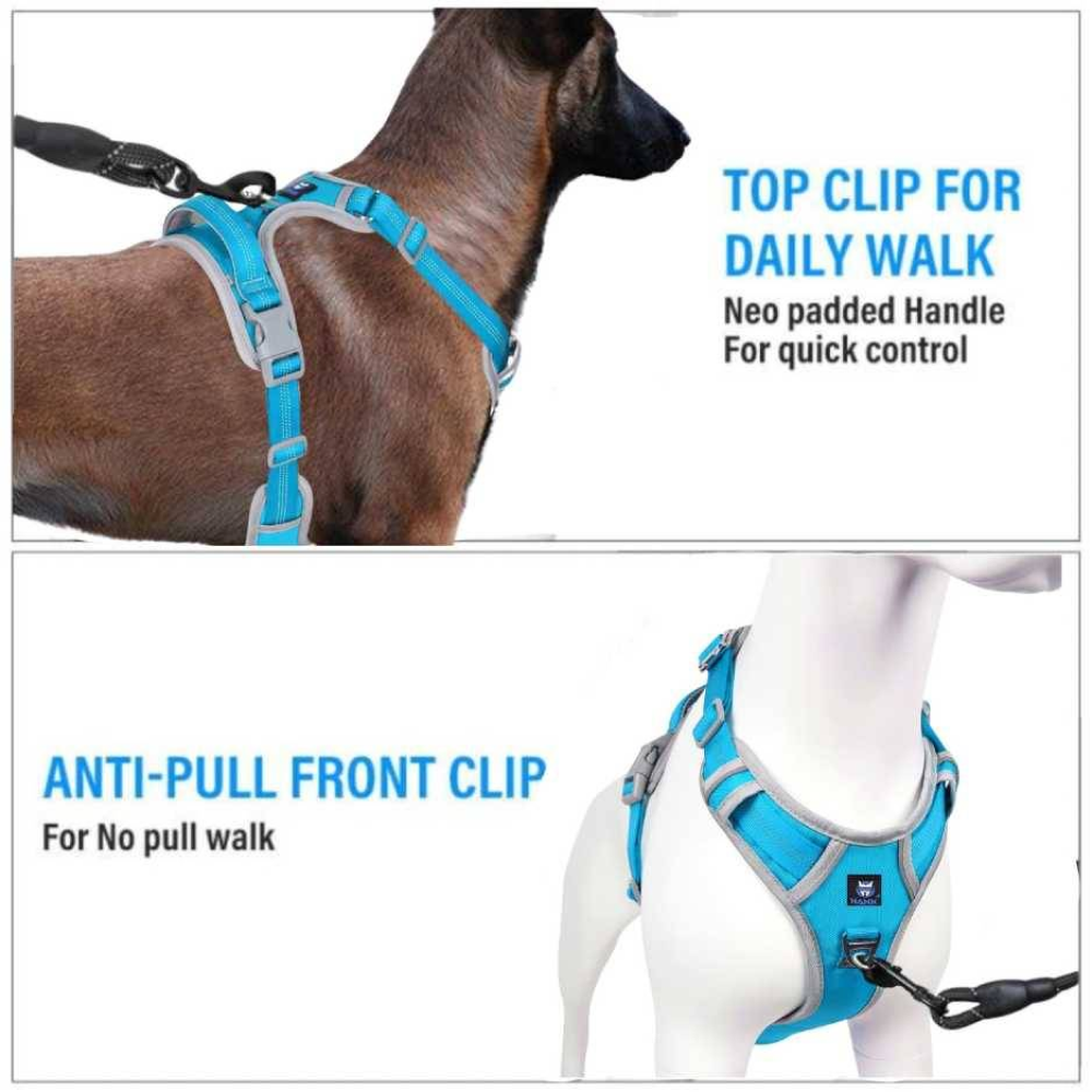 Hank 3M Reflective Harness for Puller Dogs (Grey/Cyan Blue) image 3