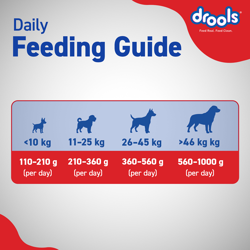 Drools Optimum Performance Adult Dog Dry Food image 9