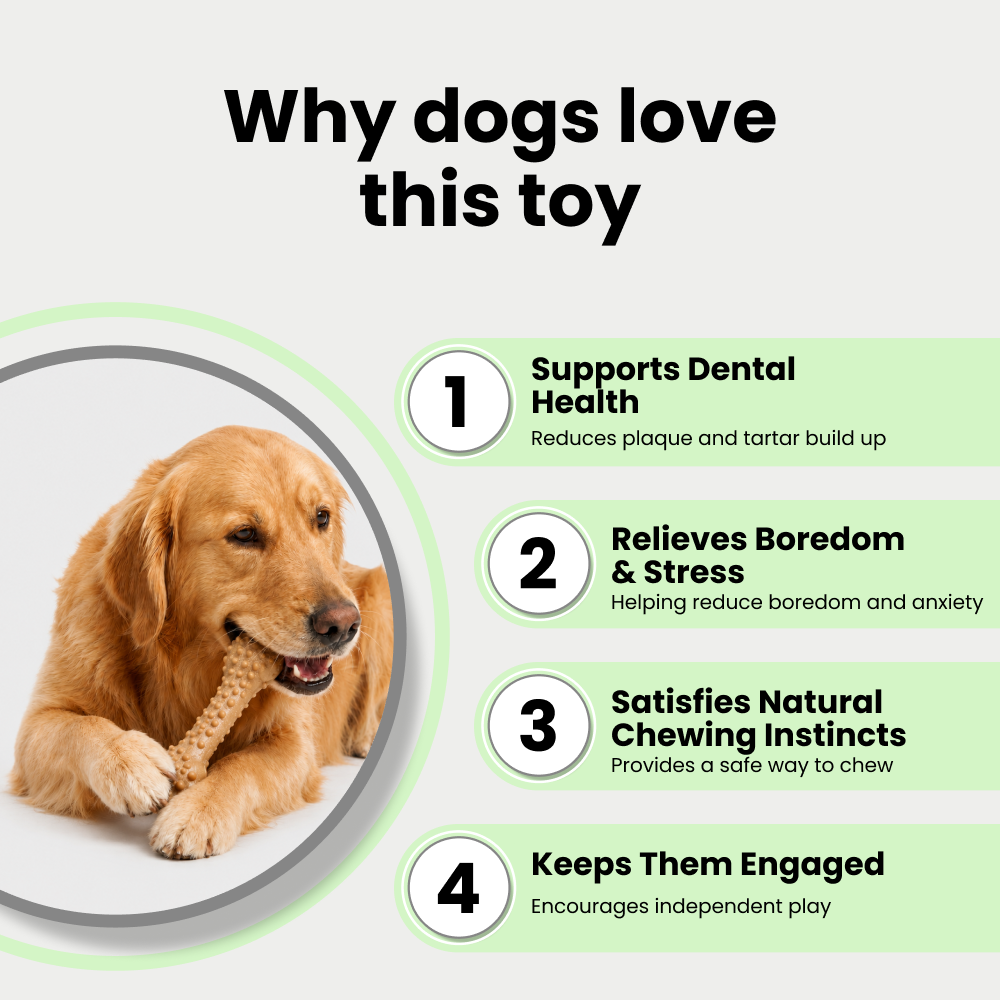 Barkbutler x Fofos Woodplay Brush Bone Toy for Dogs | For Chewers (Brown) image 5