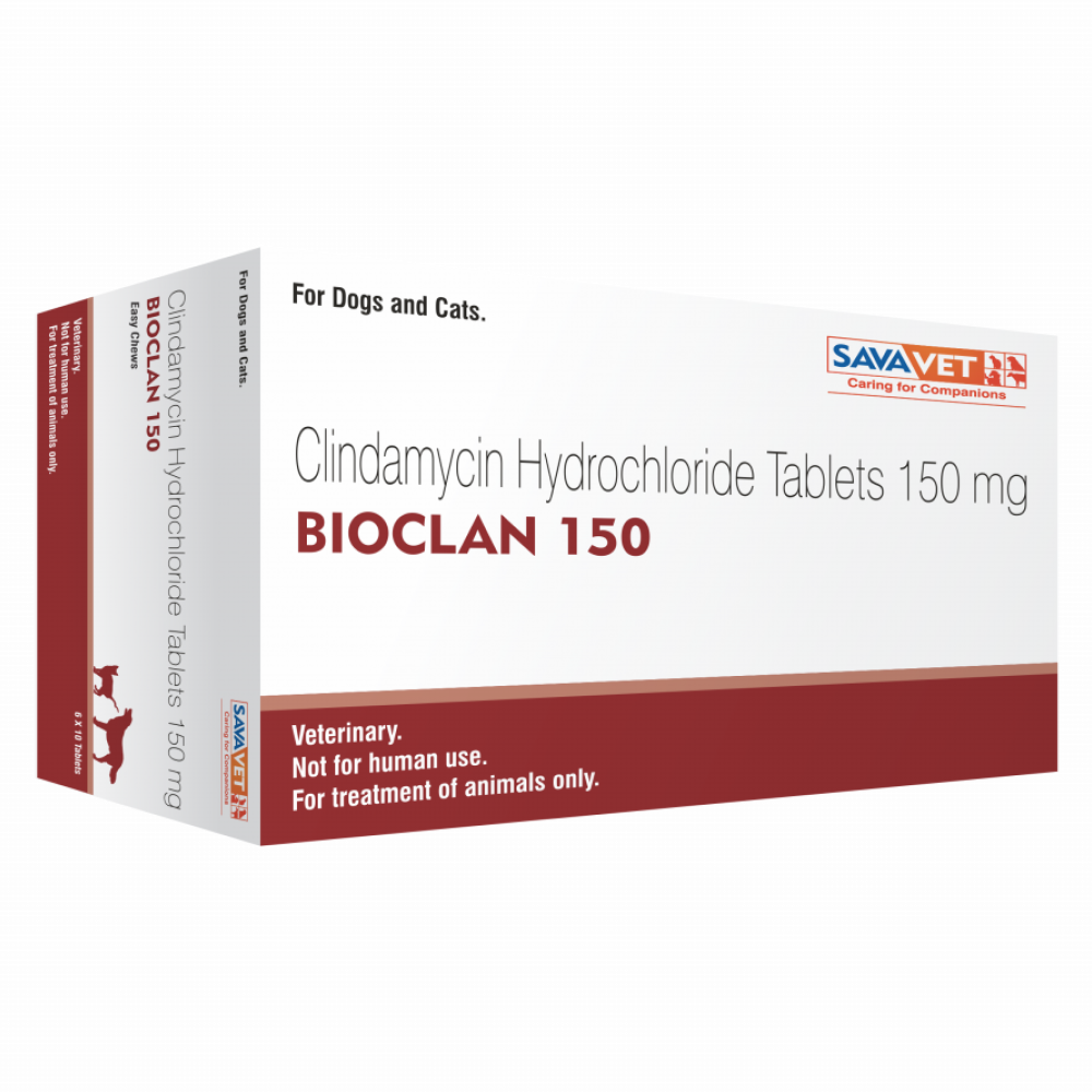 Savavet Bioclan (Clindamycin) Tablet for Dogs and Cats (pack of 10 tablets) image 2