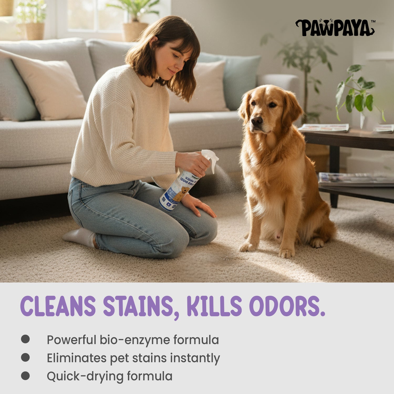 Pawpaya Stain and Odour Remover for Dogs image 3